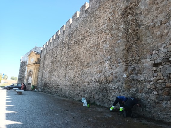 Autarquia arranca com trabalhos de limpeza e conservação das muralhas